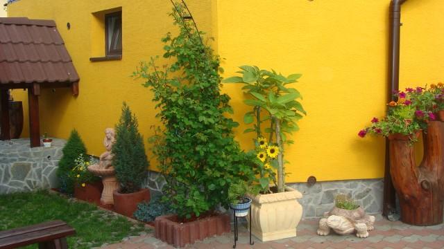 Hotel Privat U Zdenky Tvrdosin Exterior foto